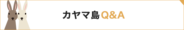 カヤマ島Q&A