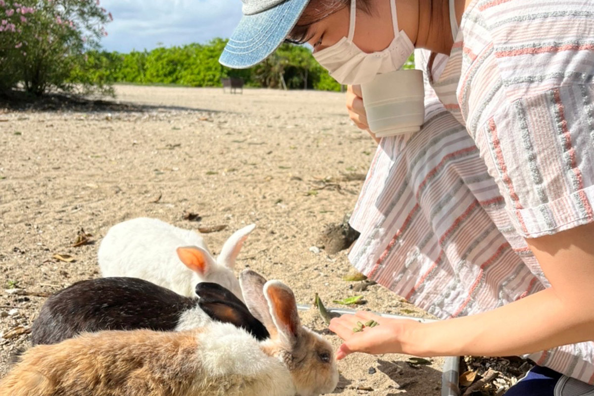 ウサギがお出迎え