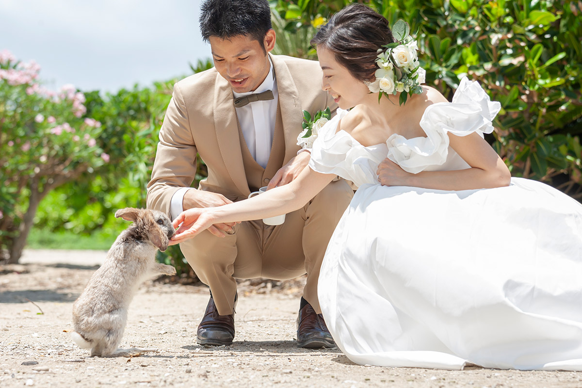 ウサギがお出迎え