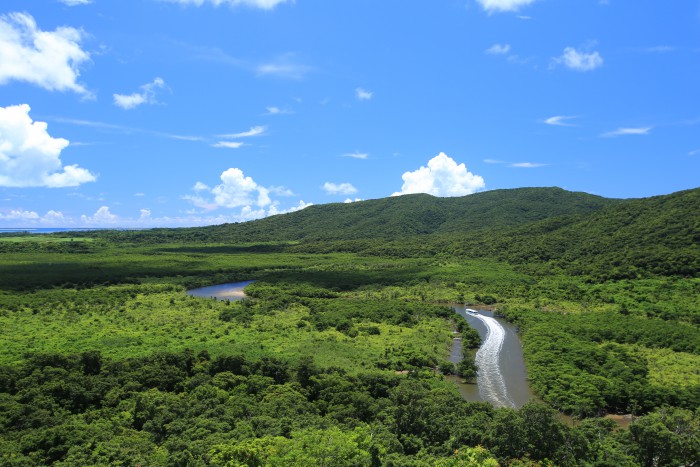 西表島仲間川クルーズ